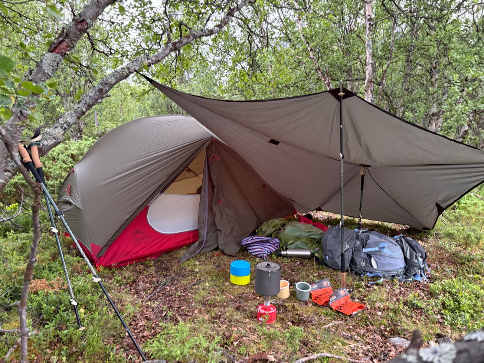 MSR Hubba Hubba NX tent with Stoic tarp pitched between birches, backpacks and cook set beside it